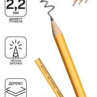 Карандаш чернографитный ErichKrause Amber 100, НВ, грифель d=2,2 мм, дерево, шестигранный, в тубусе