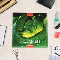 Календарь перекидной на скрепке "Символ года - 2" 2025 год, 6 листов, 29х29 см Календарь перекидной на скрепке "Символ года - 2" 2025 год, 6 листов, 29х29 см