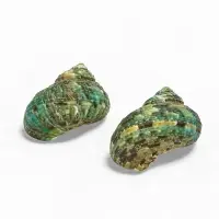 Набор ракушек декоративных, длина 4-5 см. ширина 2 см, 2 шт