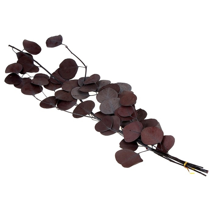 Сухоцвет персикого дерева, 50 г, длина — 70 см, цвет фиолетовый Сухоцвет персикого дерева, 50 г, длина — 70 см, цвет фиолетовый