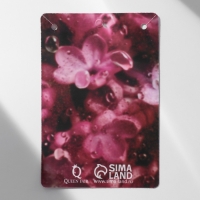 Кулон &laquo;Цветок&raquo; мечта, цвет бело-розовый в золоте, 40 см