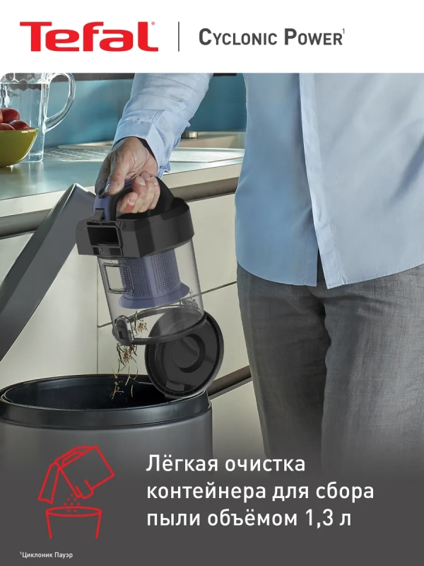 Пылесос для дома Cyclonic Power TW1931RH с контейнером
