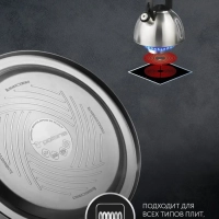 Чайник для плиты со свистком, Alicante-3LN ( 3 литра )