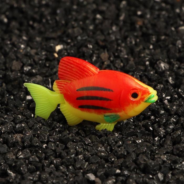 Декор для аквариума Декор для аквариума "Рыбки", набор 5 шт, 5,5 х 4,2 х 1,7 см