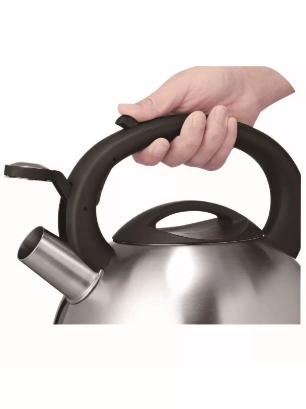 Чайник для плиты из нержавеющей стали C7922024, 3 л