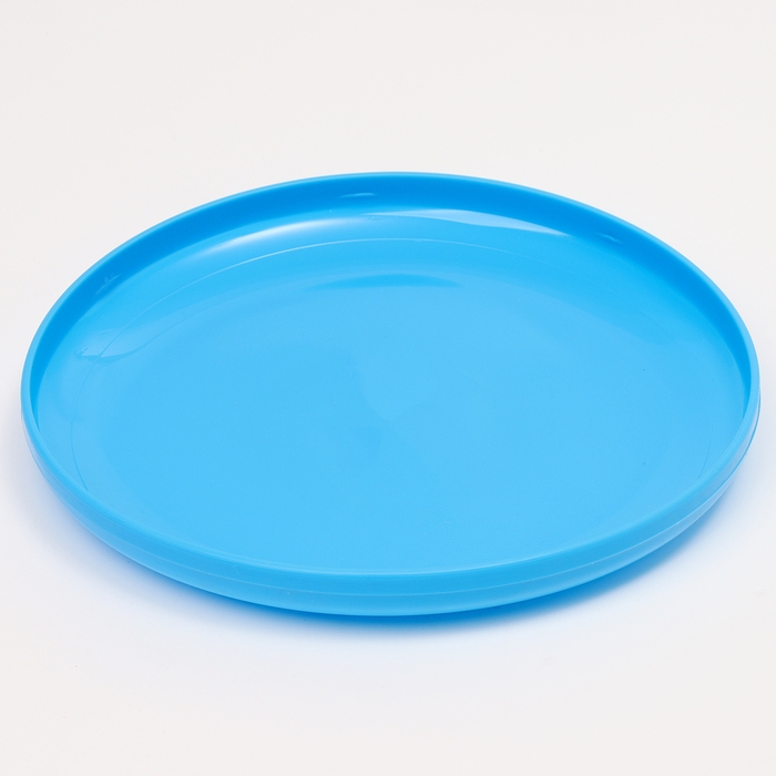 Летающая тарелка &laquo;Фрисби&raquo;, 23 см, голубой