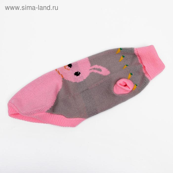 Свитер, размер 16 (ДС 45-60, ОШ 20-37, ОГ 37-52 см), микс расцветок Свитер, размер 16 (ДС 45-60, ОШ 20-37, ОГ 37-52 см), микс расцветок