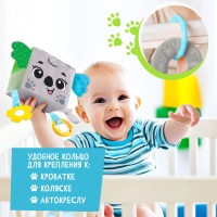 Развивающая игрушка &laquo;Кубик: Коала&raquo;, с прорезывателем, шуршит и звенит