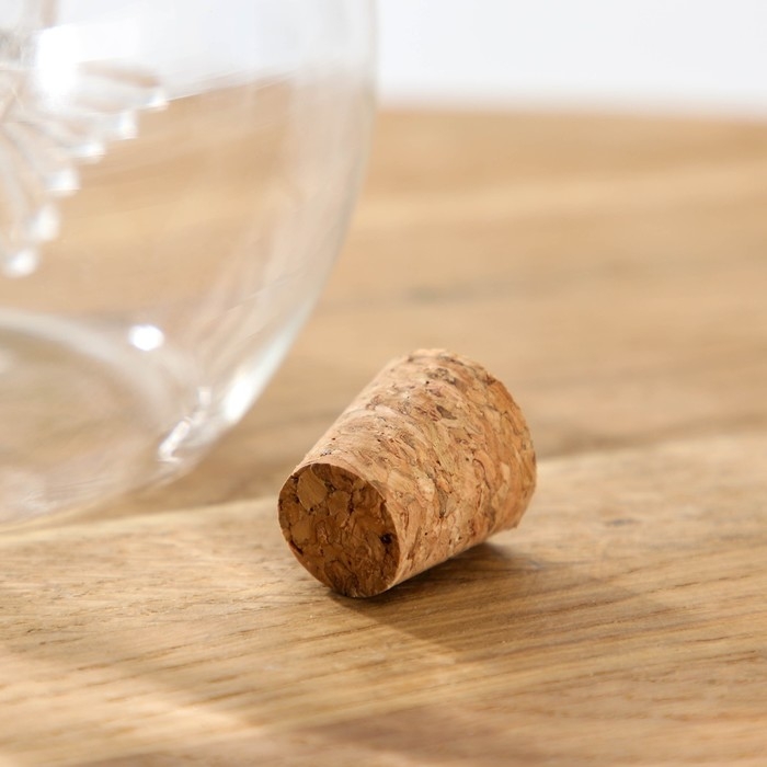 Бутыль стеклянная для соусов и масла 2 в 1 &laquo;Фьюжн. Рыбка&raquo;, 420/50 мл, 12,4&times;10&times;12 см