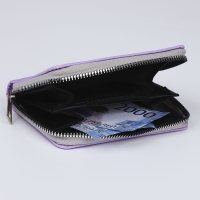 Кошелёк детский &laquo;Аниме&raquo; 12х9,5х2 см