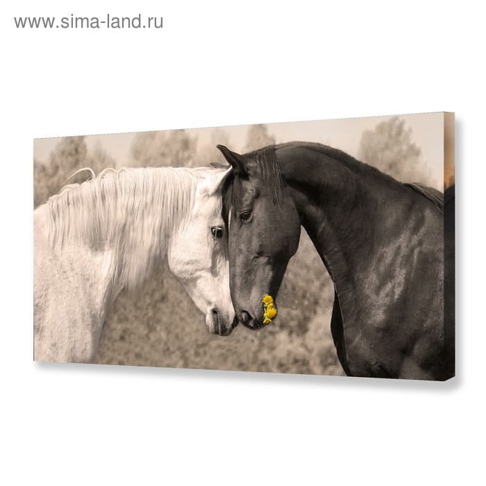 Картина на холсте Картина на холсте "Любовь" 50х100 см