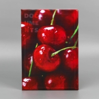 Папка для документов &laquo;Docs&raquo;, 8 файлов А4