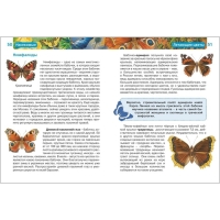 Детская энциклопедия &laquo;Насекомые&raquo;