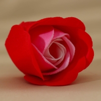 Подарочный набор косметики &laquo;Весна&raquo;, мыло лепестковое, ЧИСТОЕ СЧАСТЬЕ