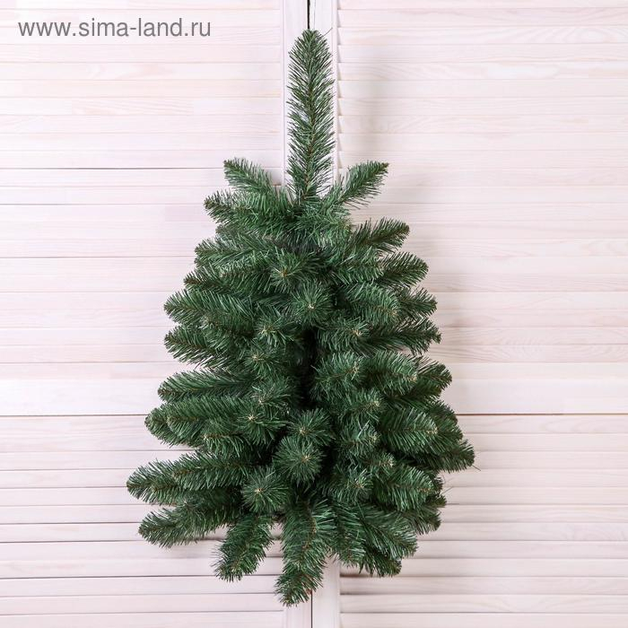 Ель настенная Боярская 0,7 м