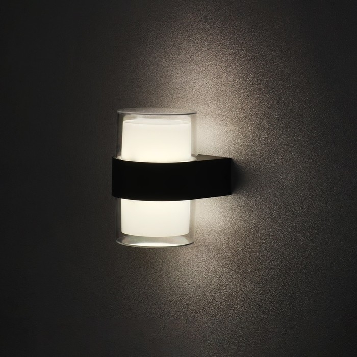 Светильник фасадный &laquo;Гранд двойной&raquo;, FSD-076, 10 Вт, 4000К, IP65, 220 В, пластик, черный