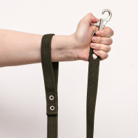 Поводок брезентовый 2 м х 2,5 см, тёмно-зелёный Поводок брезентовый 2 м х 2,5 см, тёмно-зелёный