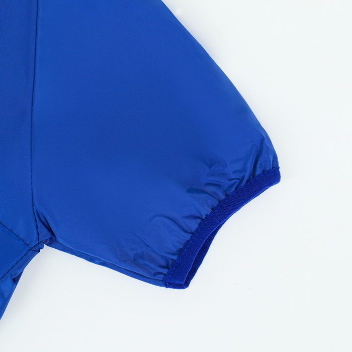 Комбинезон для собак, демисезонный с подкладом, размер S (ДС 25, Ог 37см), синий Комбинезон для собак, демисезонный с подкладом, размер S (ДС 25, Ог 37см), синий