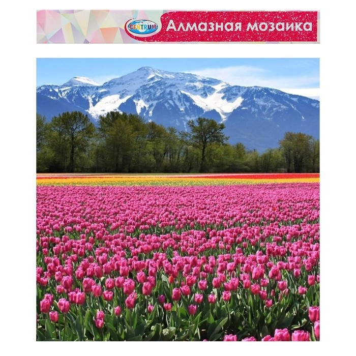 Алмазная мозаика &laquo;Горный пейзаж&raquo;, 40 &times; 50 см, без подрамника, частичное заполнение