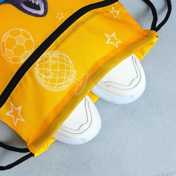 Мешок для обуви &laquo;Учусь на 5!&raquo; 2 секции, 30 х 40 см