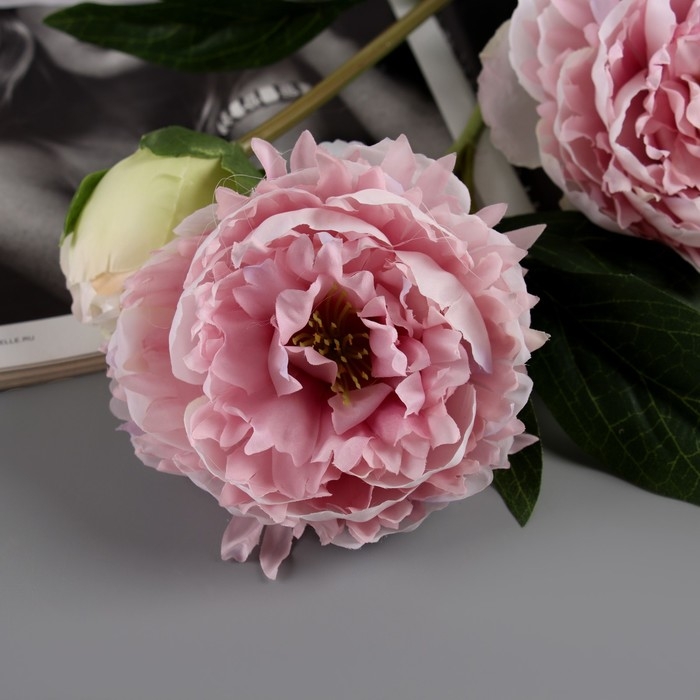 Цветы искусственные Цветы искусственные "Пион Беверли люкс" 60 см, светло-розовый