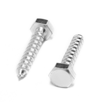 Шуруп-болт ТУНДРА, сантехнический, оцинкованный, DIN 571, М10х50 мм, 4,8 - 5 кг Шуруп-болт ТУНДРА, сантехнический, оцинкованный, DIN 571, М10х50 мм, 4,8 - 5 кг