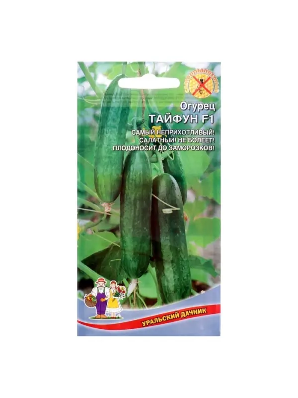 Семена Огурец "Тайфун" F1, раннеспелый, партенокарпический, 5 шт