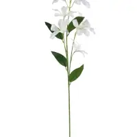 Цветы искусственные "Баухиния пёстрая" d-13 см 71 см, белый