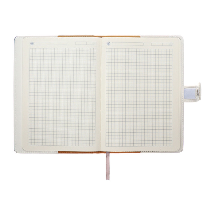 Органайзер на кольцах, А5, 128л, клетка, обл.кожзам, с хлястиком, Бизнес, голубой