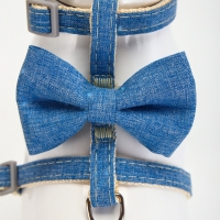 Комплект амуниции "Леди и Джентельмен", поводок 120 х 1 см, синий