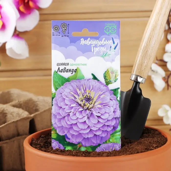 Семена цветов Цинния Лаванда "Лавандовые грёзы", ц/п,  0,5 г