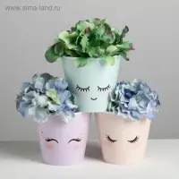 Набор кашпо для цветов 3 в 1 &laquo;Милые глазки&raquo;, 0,8 л, 11 х 12 см