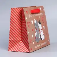 Пакет подарочный крафтовый, упаковка, &laquo;Потрачу девять жизней&raquo;, MS 18 х 23 х 8 см