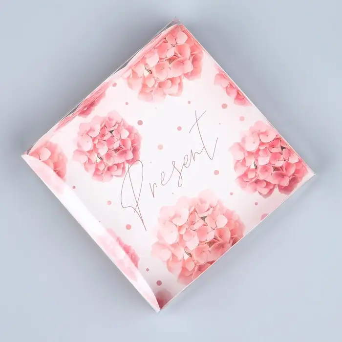 Коробка для печенья, кондитерская упаковка с пластиковой крышкой, Present, 10.5 х 10.5 х 3 см