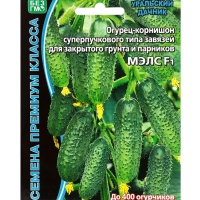 Семена Огурец "Мэлс" F1 ультраранний 36 дней, корнишон, партенокарпический, 5 шт