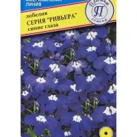 Семена цветов Лобелия кустовая "Ривьера" Синие глаза, О, мультидраже 5 шт