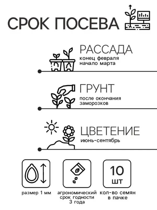 Семена цветов Катарантус Пацифика "Оранж" 10 шт