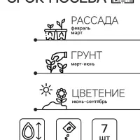 Семена цветов Катарантус "Пацифика смесь", 7 шт