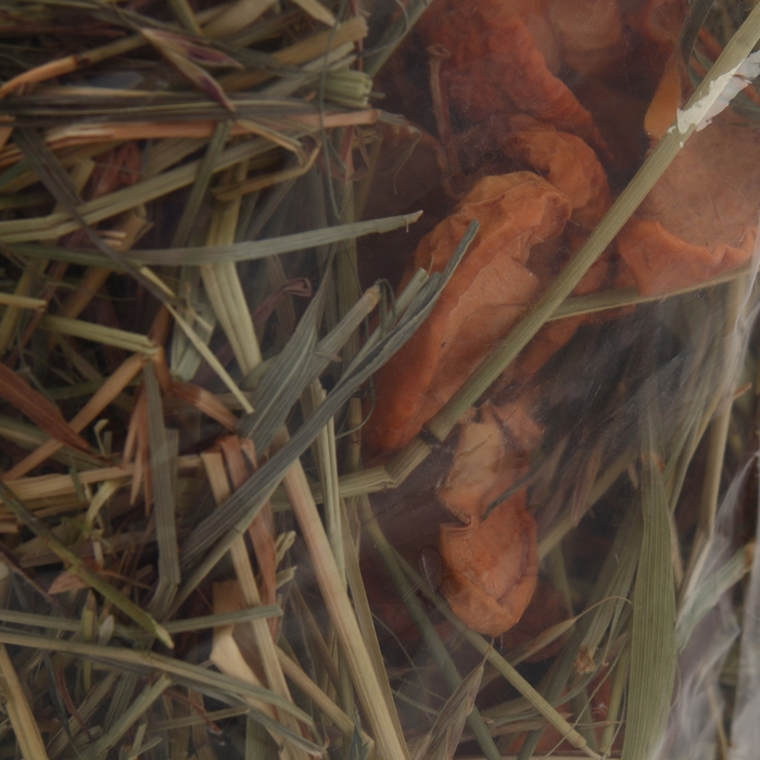 Сено луговое с фруктами «Пижон» для грызунов, 20 л, 500 г Сено луговое с фруктами «Пижон» для грызунов, 20 л, 500 г