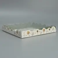 Коробка для кондитерских изделий с пластиковой крышкой &laquo;С Новым годом&raquo;, 21 х 21 х 3 см