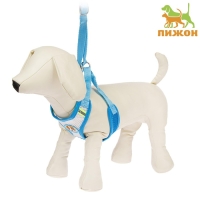 Шлейка регулируемая дышащая, светоотражающая, размер XL (ОШ 48-68; ОГ 58-72 см), голубая