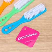 Щётка для овощей и фруктов с ручкой Доляна, 17&times;3,3&times;2 см, цвет МИКС