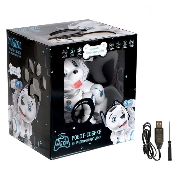 Робот собака &laquo;Дружок&raquo; ZHORYA, программируемый, на пульте управления, интерактивный: звук, свет, сенсорный, реагирует на голос, на аккумуляторе