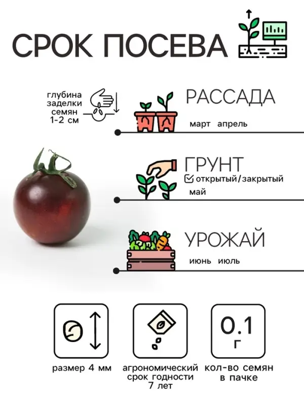 Семена Томат "Черный Мавр", 0,1 г
