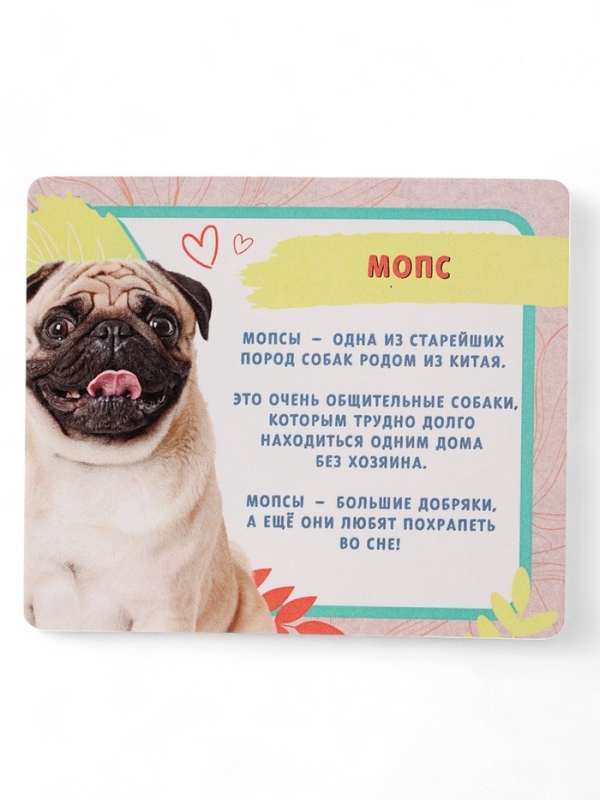 HAPPY VALLEY Игрушка-сюрприз "Домашние питомцы", собаки