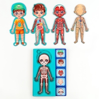 Обучающий набор &laquo;Тело человека&raquo;, рамка-вкладка и книга с наклейками