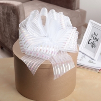 Бант-шар №10 "Полоски", цвет белый Бант-шар №10 "Полоски", цвет белый