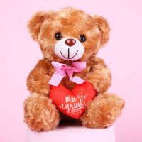 Мягкая игрушка «Ты лучше всех», медведь, цвета МИКС Мягкая игрушка «Ты лучше всех», медведь, цвета МИКС