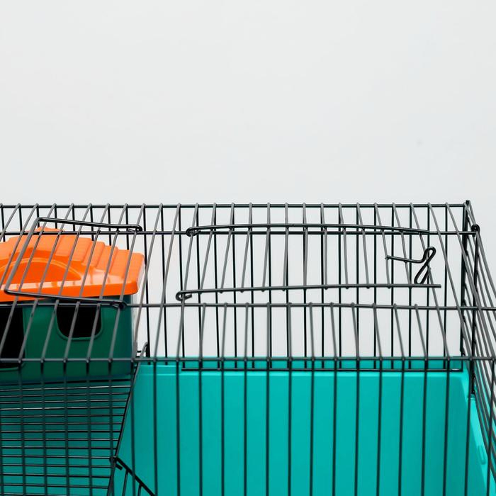 Клетка для грызунов Клетка для грызунов "Пижон" №4, с этажом, укомплектованная, 37х26х18 см, бирюзовая