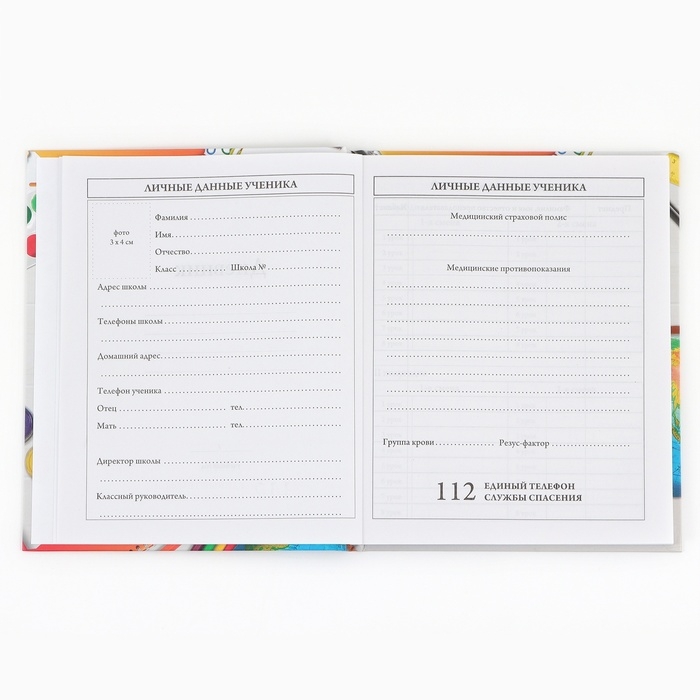 Дневник школьный 1-4 класса, в твердой обложке, 48 л &laquo;1 сентября: Предметы&raquo;